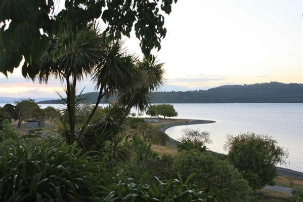 Moeroa - Wharewaka Holiday home