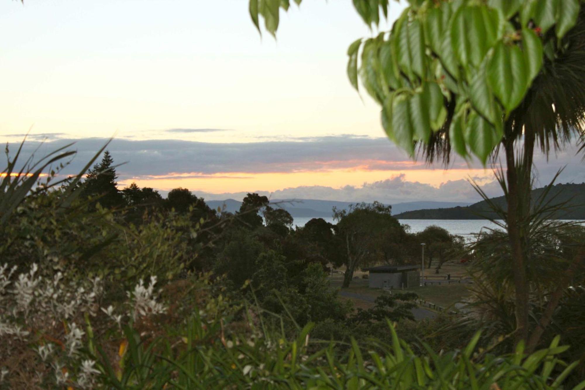 Moeroa - Wharewaka *